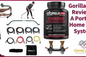 Gorilla Bow Review