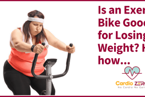 exercise bike for losing weight