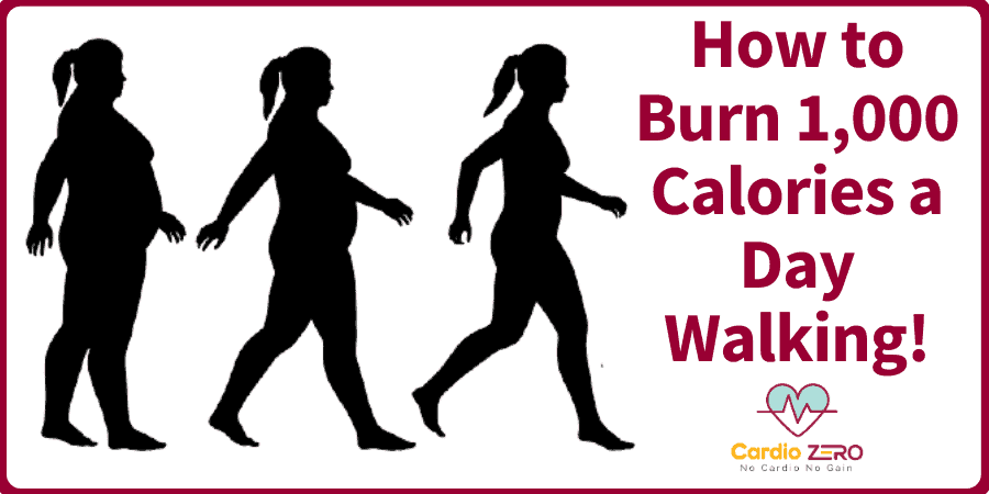 How Much Walking To Burn 1000 Calories A Day